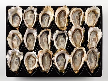 oysters half shelled