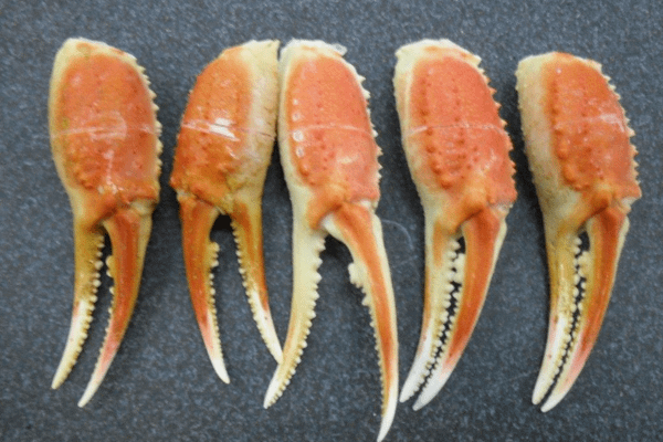 Frozen Snow Crab Cocktail Claws