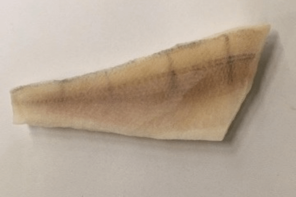 Frozen Perch Filet (skin on or skin off)